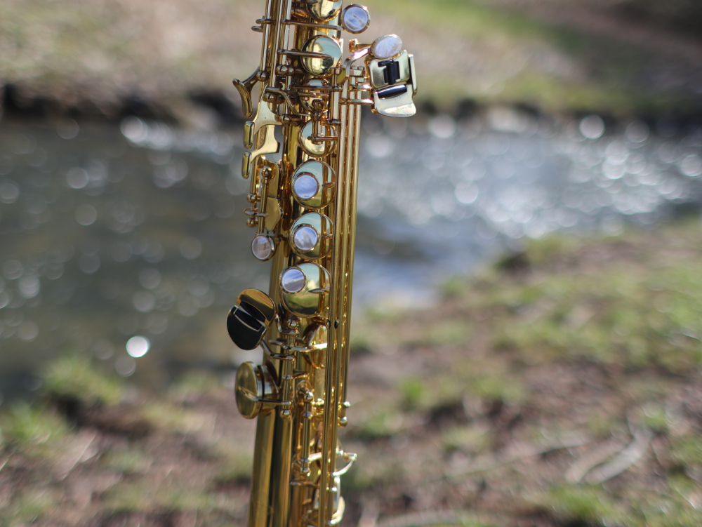 Saxophon Pfungstadt Modau